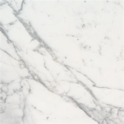Calacatta Marble in Calacatta Marble - 12x24 Natural Stone