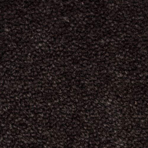 Las Brisas in Cordillera Carpet