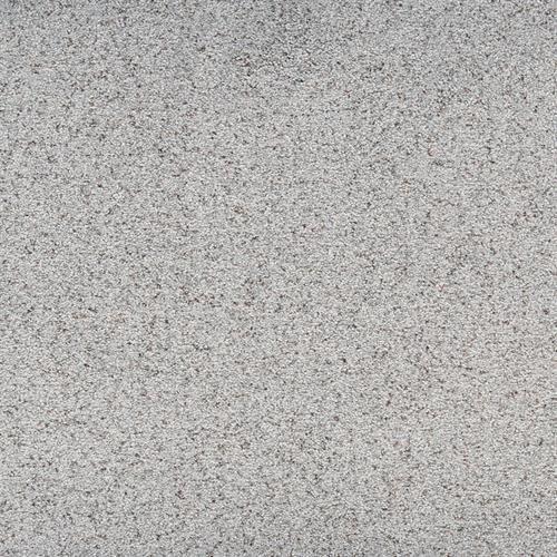 Legit in Stately Carpet