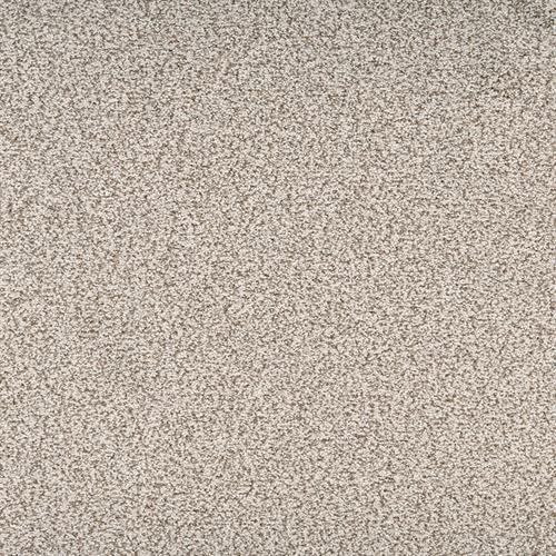 Legit in Exquisite Carpet