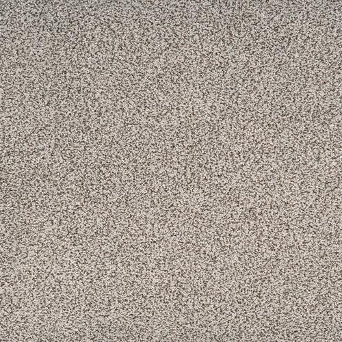 Legit in Dapper Carpet