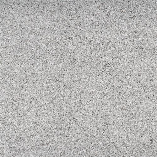Suave in Posh Carpet