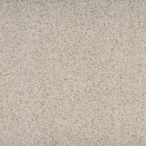 Suave in Mannerly Carpet