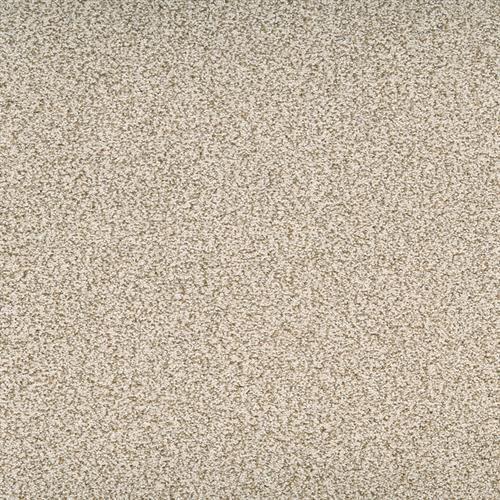 Suave in Dashing Carpet