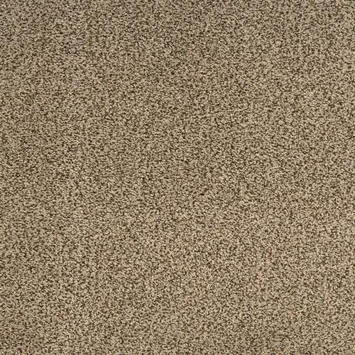 Suave in Clever Carpet