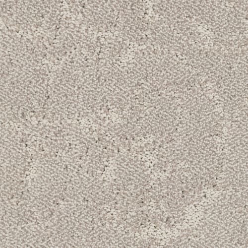 Shelter in Toasted Tan Carpet