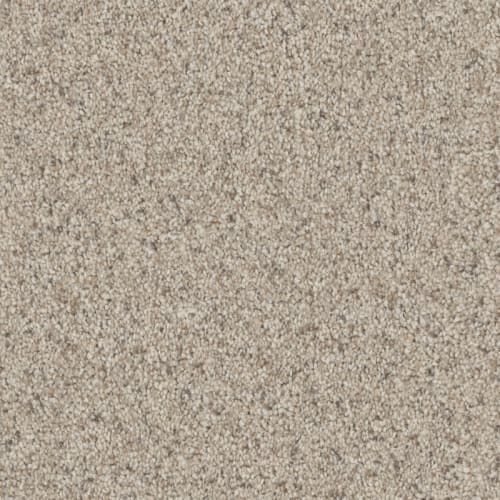 Admiration in Sandstorm Carpet