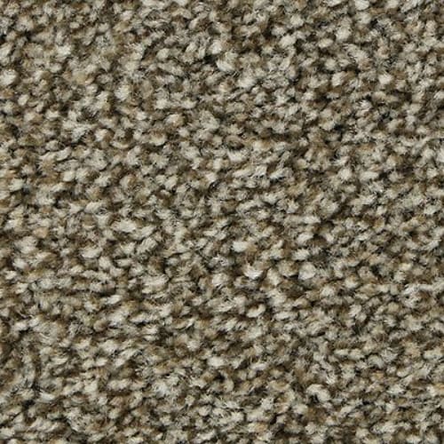 Polished Shades I