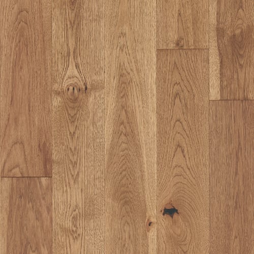 Latitude Collection® - Forest Park