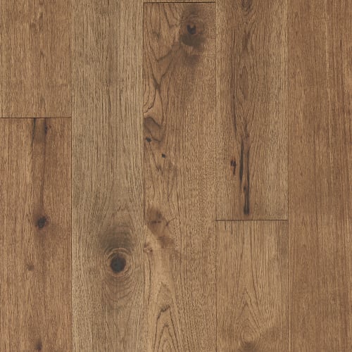 Latitude Collection® - Forest Park