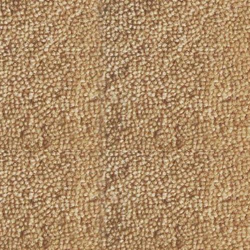 Contessa in Island Clay Carpet