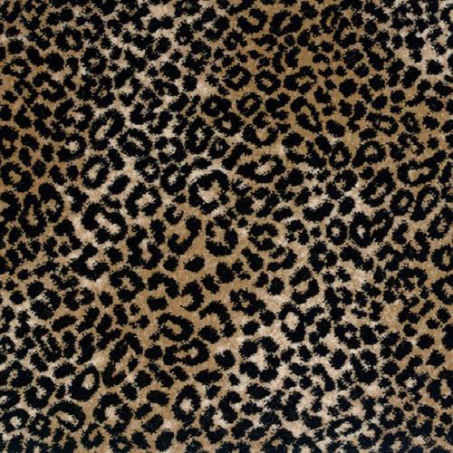 Lake Collection - Lake Jaguar