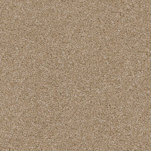 Labrador