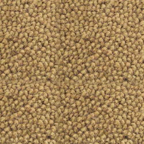 Triumph in Lariat Carpet