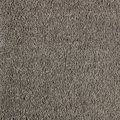 Exquisite Beauty in Opulent Grey Carpet