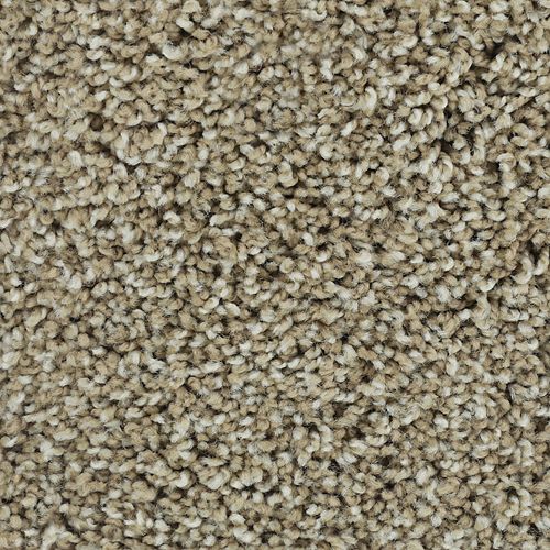 Noteworthy Style in Putty Carpet