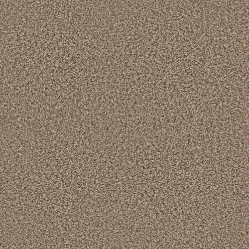 VENTURE BERBER