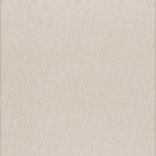 Palmas - Reed