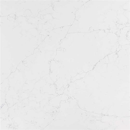 Q Premium Natural Quartz in Calacatta Botanica Solid Surface