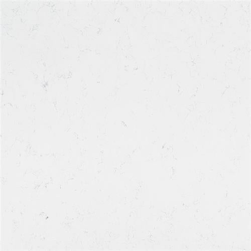 Q Premium Natural Quartz in Carrara Morro Solid Surface