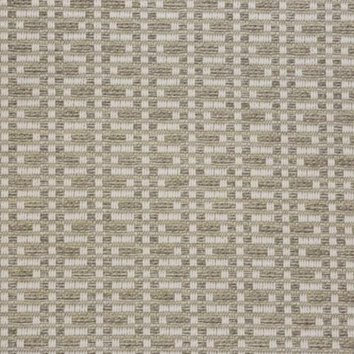 San Felipe in Shell Carpet