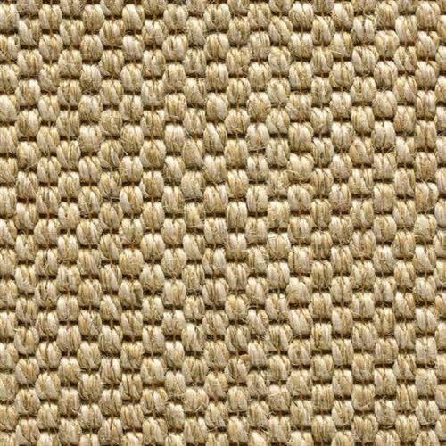 Sahara in Desert Carpet