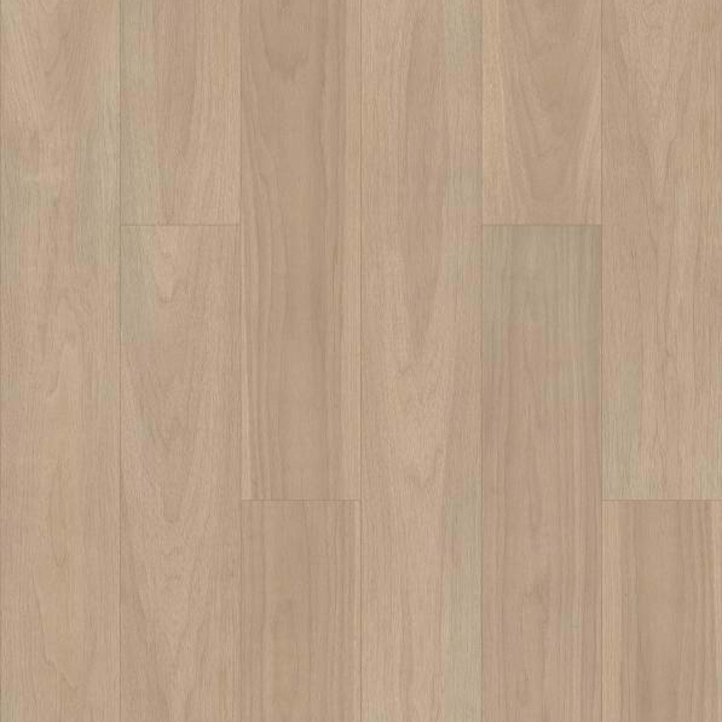 SCRATCHLESS 7X48 in Pierpoint Walnut