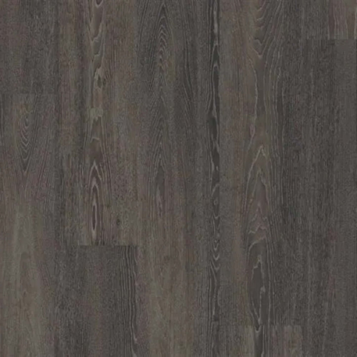 Opus in Argen Luxury Vinyl