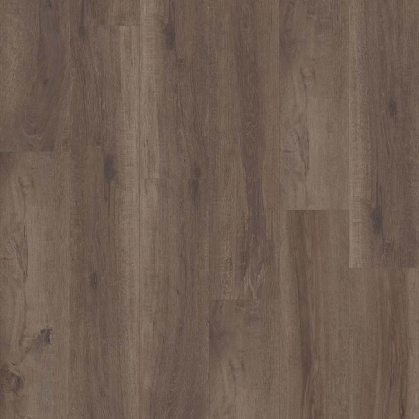 TREASURE COVE in Grande Borneo Oak