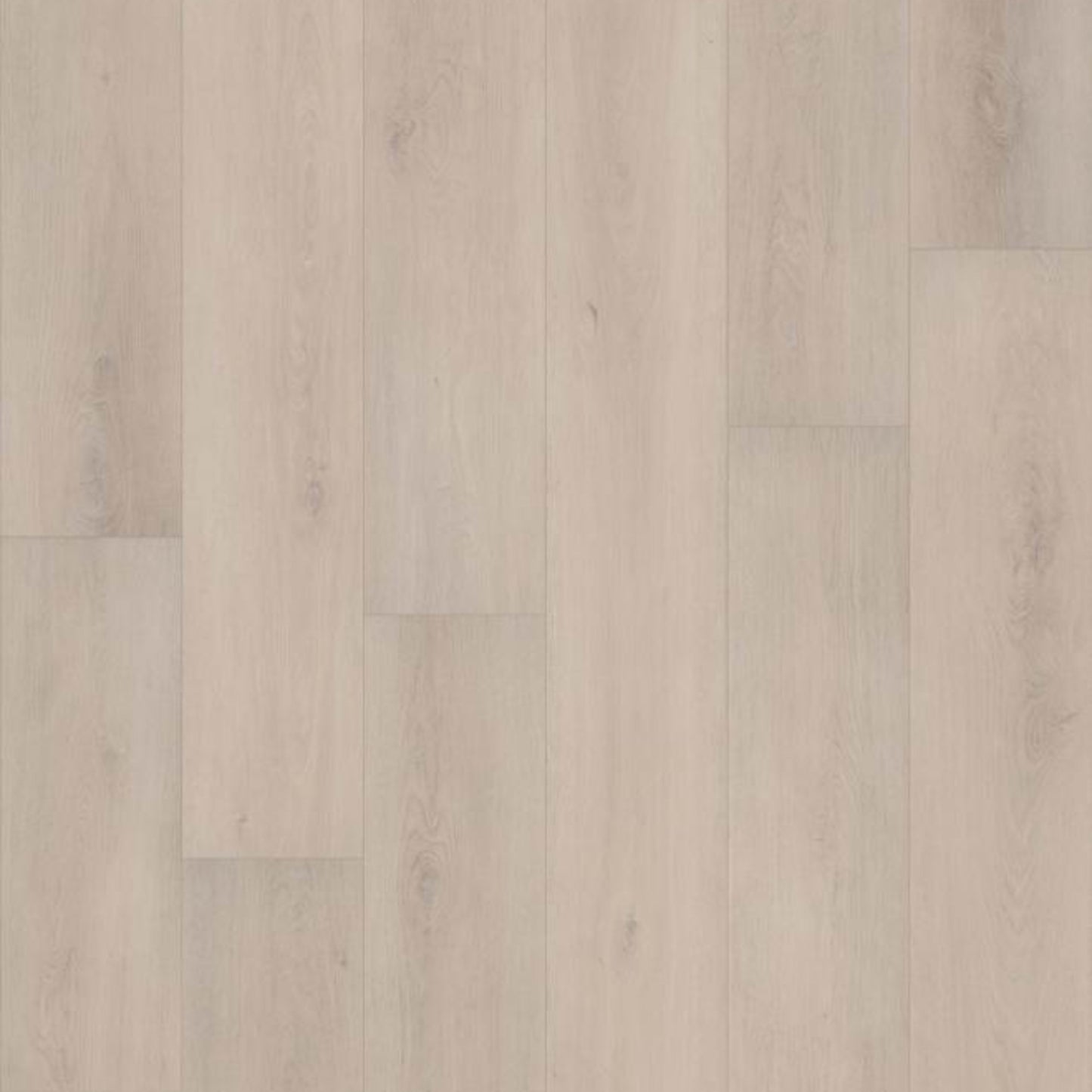 TREASURE COVE in Grande Tortue Oak