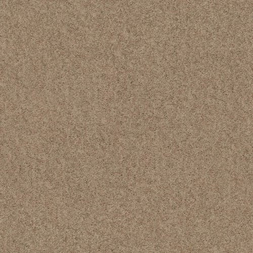 Bx001