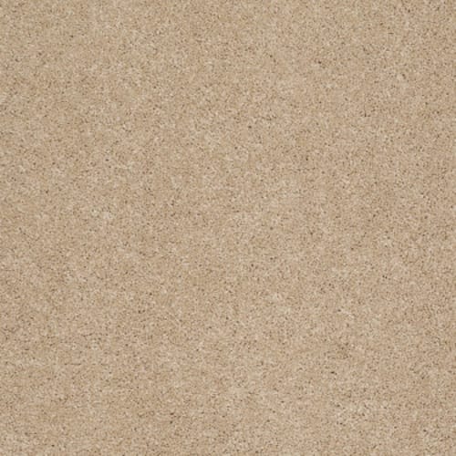 Cashmere I