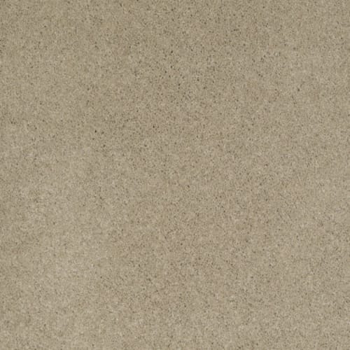 Cashmere I
