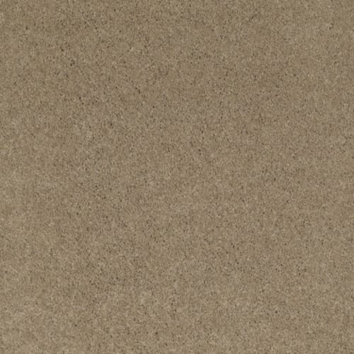 Cashmere I
