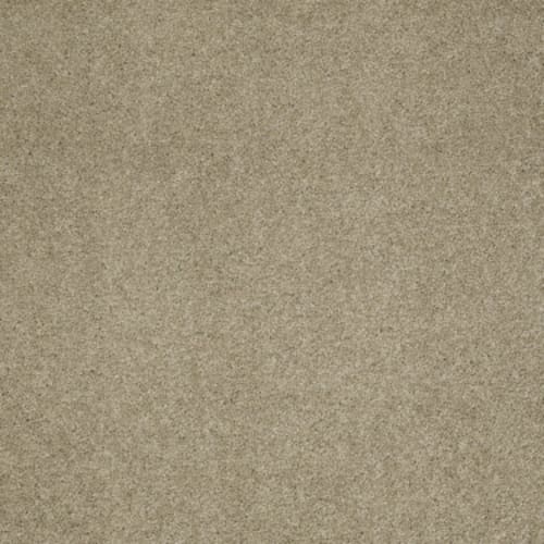 Cashmere I