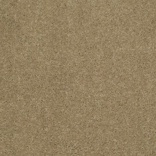 Cashmere I