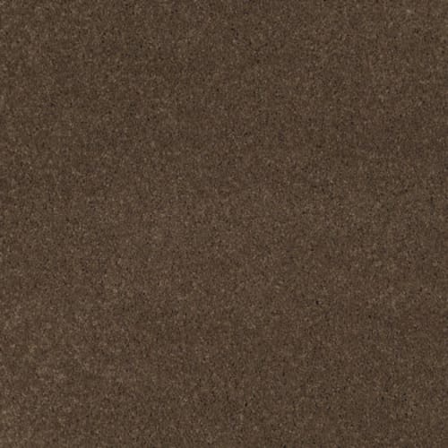 Cashmere I