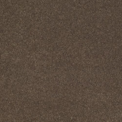 Cashmere I