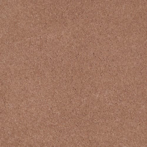 Cashmere I