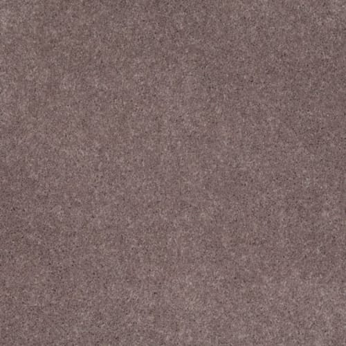 Cashmere I