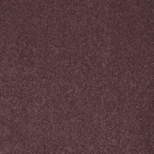 Cashmere I