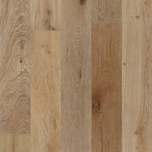 Mammoth in Chatelaine Hardwood