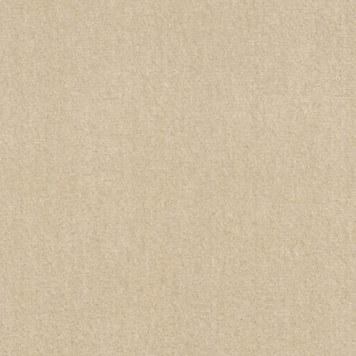 Affirmed in Wool Skin Carpet