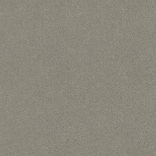 Sandy Hollow III 12' in Silver Charm Carpet