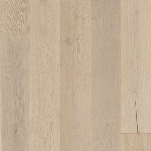 Latitude Collection® - Sanctuary
