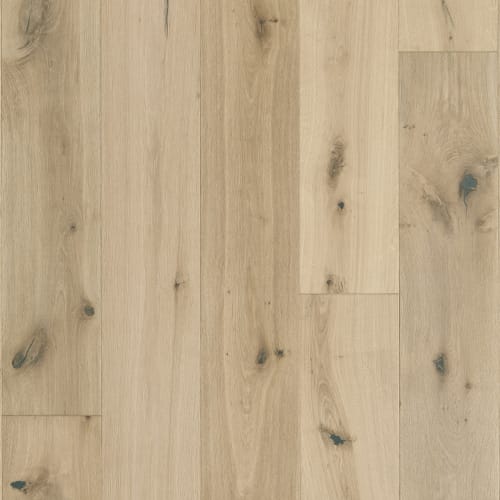 Latitude Collection® - Sanctuary