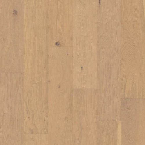 COUTURE OAK in Champagne Hardwood