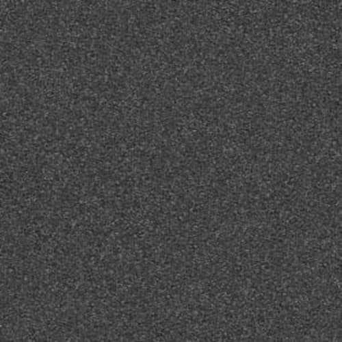 Xv694
