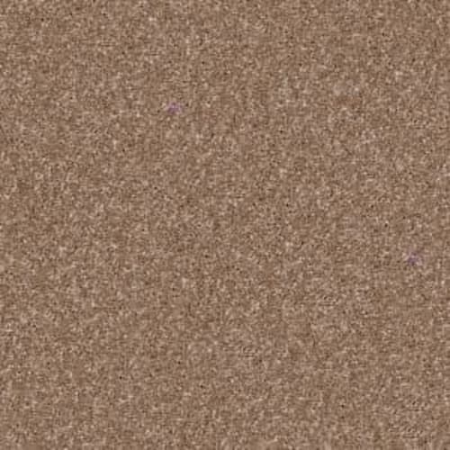 Xv694