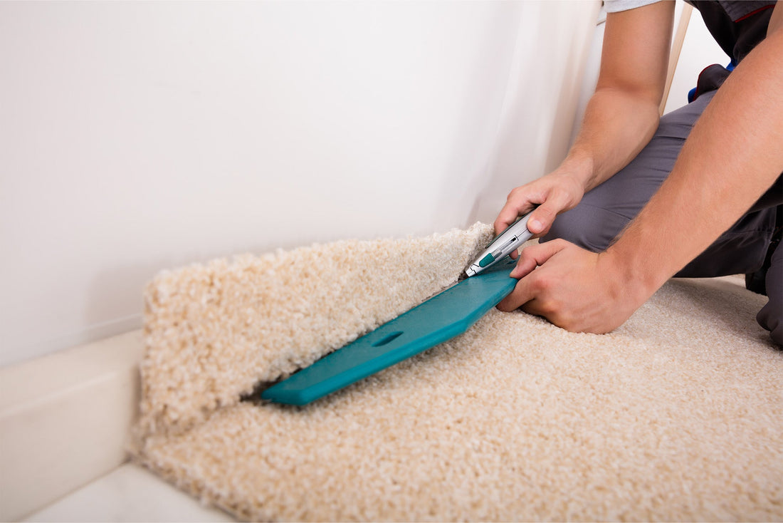 Carpet Timeline and Full-Service Planning Before Holiday Gatherings